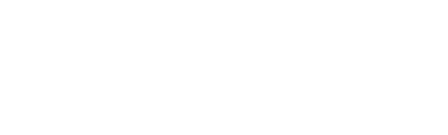 PUNKU.AI Logo White
